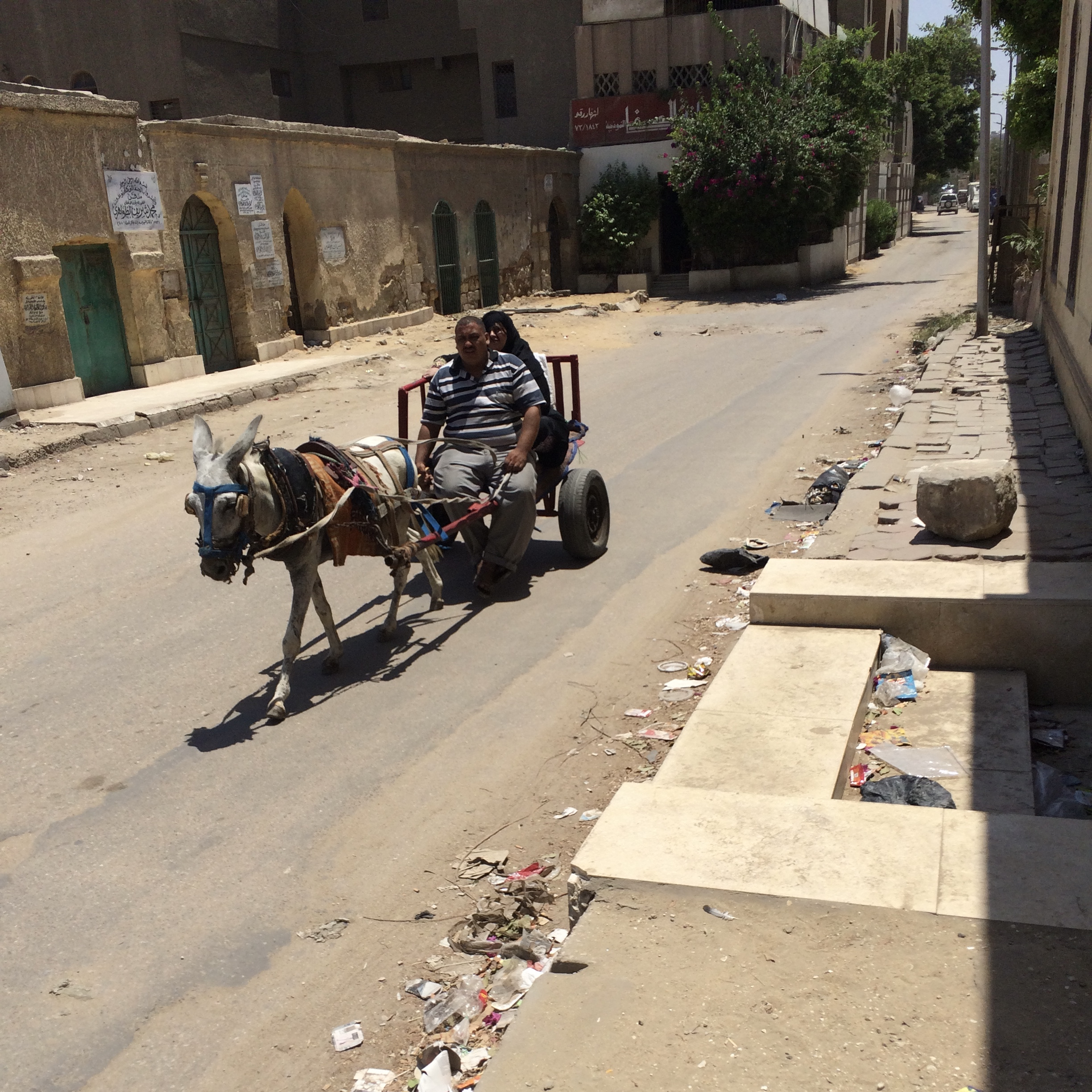 Zielig ezeltje in Stad der Doden Cairo Egypte