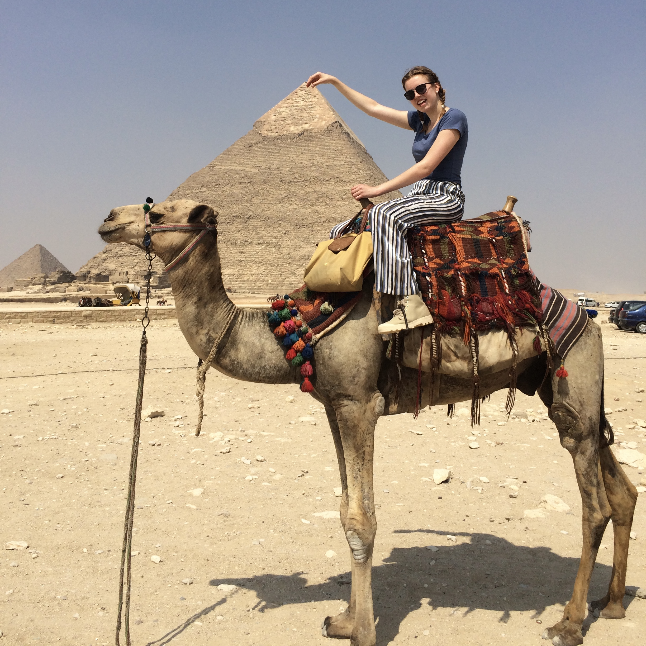 Op kameel bij piramides van Giza Cairo Egypte